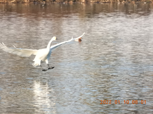 DSCN1433.JPG