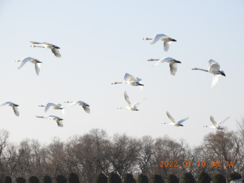 DSCN1533.JPG