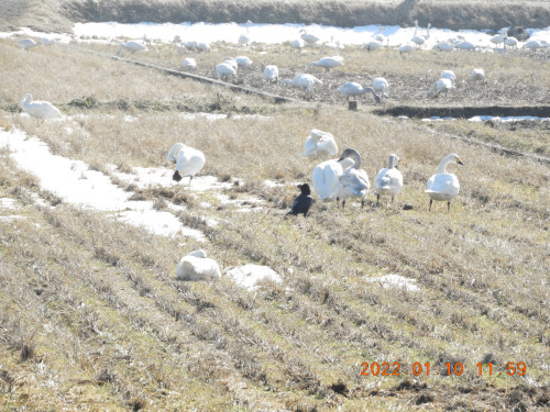 DSCN1540.JPG