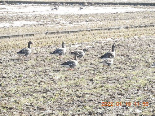 DSCN1537.JPG