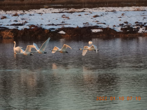 DSCN1270.JPG