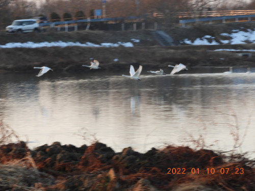 DSCN1277.JPG