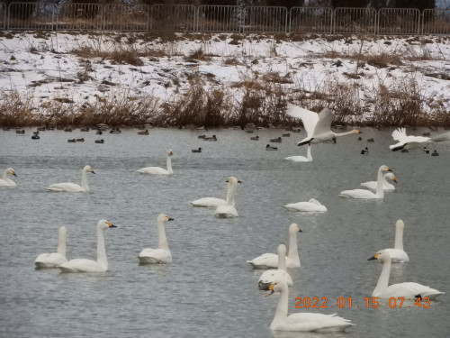 DSCN1573.JPG