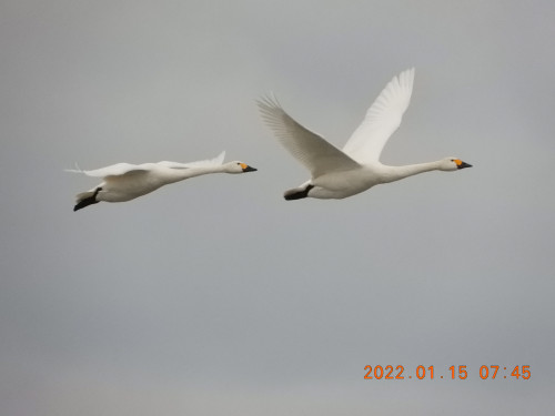 DSCN1579.JPG