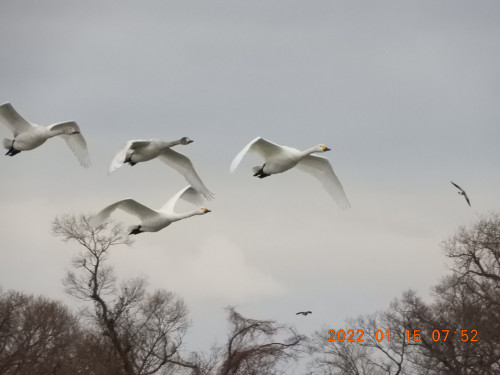 DSCN1588.JPG