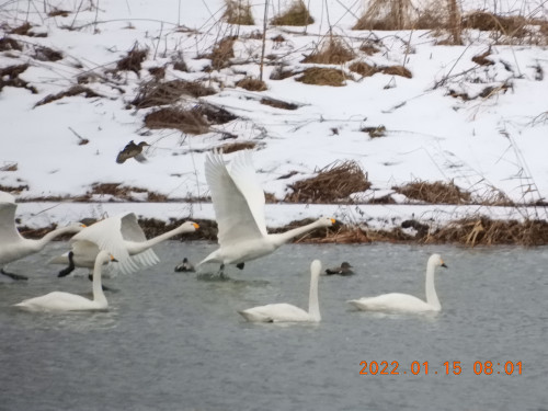 DSCN1609.JPG