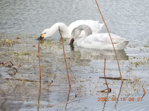 DSCN1655.JPG