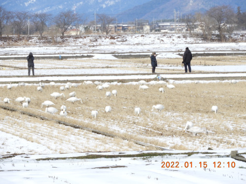 DSCN1657.JPG