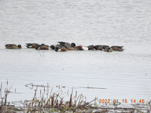 DSCN1659.JPG