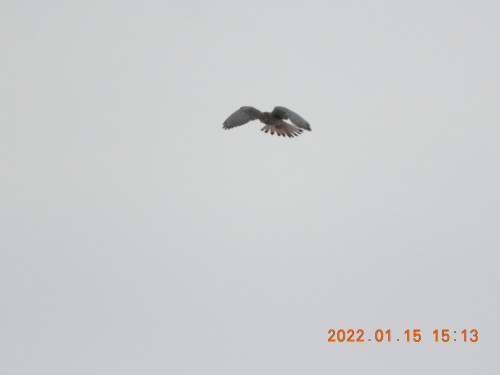 DSCN1698.JPG