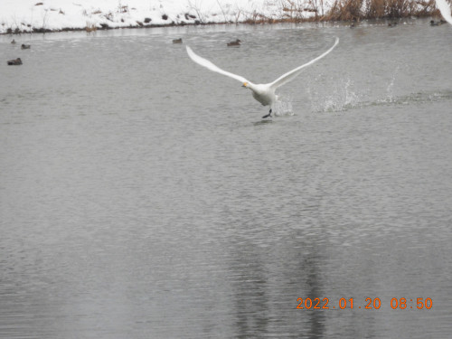DSCN1745.JPG