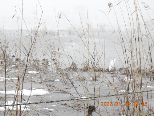DSCN1795.JPG