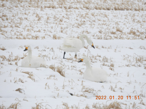 DSCN1796.JPG