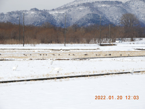 DSCN1806.JPG