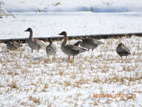 DSCN1808.JPG