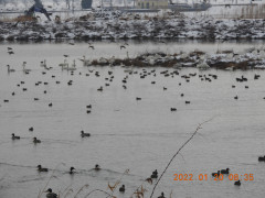 DSCN1734.JPG