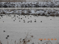 DSCN1735.JPG