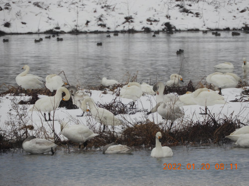 DSCN1727.JPG