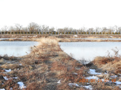 DSCN1894.JPG