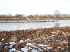 DSCN1895.JPG
