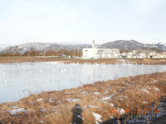 DSCN1897.JPG