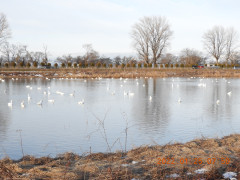 DSCN1898.JPG