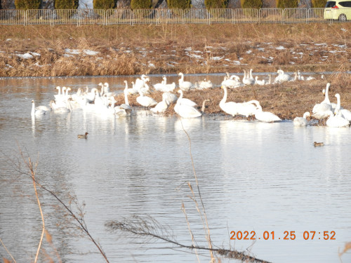 DSCN1902.JPG