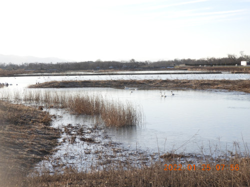 DSCN1904.JPG