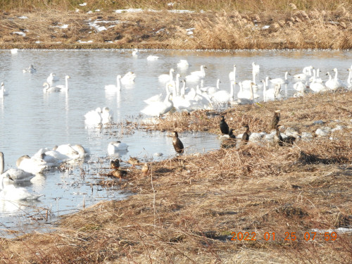 DSCN1908.JPG