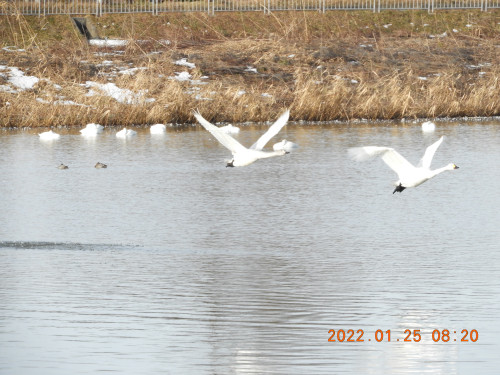 DSCN1938.JPG
