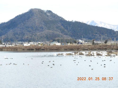 DSCN1941.JPG