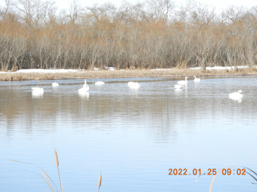 DSCN1952.JPG