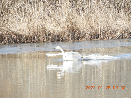 DSCN1955.JPG