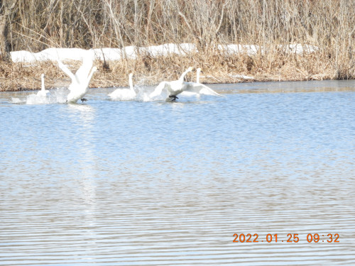 DSCN1957.JPG