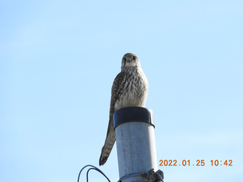 DSCN1977.JPG