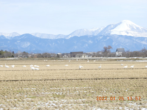 DSCN1981.JPG