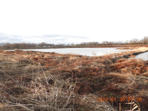 DSCN2001.JPG