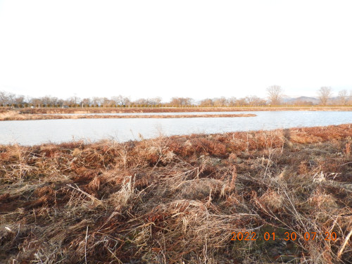 DSCN2002.JPG