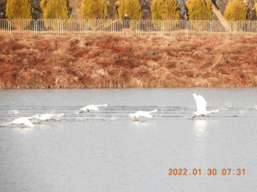 DSCN2025.JPG