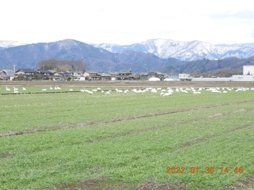 DSCN2065.JPG