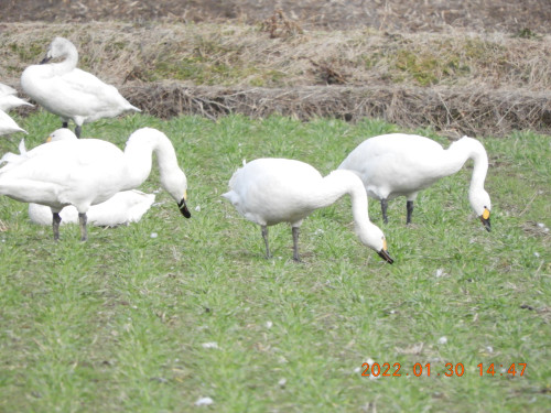 DSCN2067.JPG