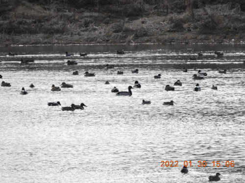 DSCN2073.JPG