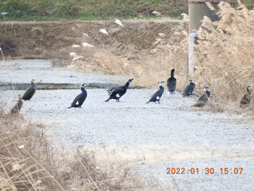 DSCN2074.JPG