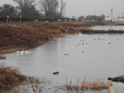 DSCN2135.JPG