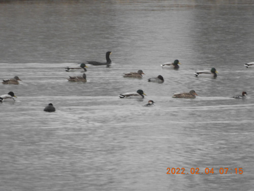 DSCN2137.JPG