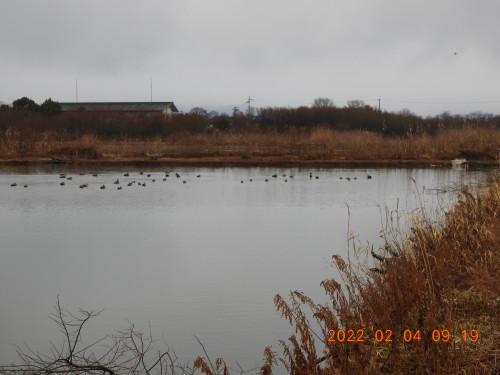 DSCN2142.JPG