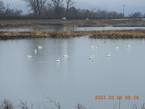 DSCN2146.JPG