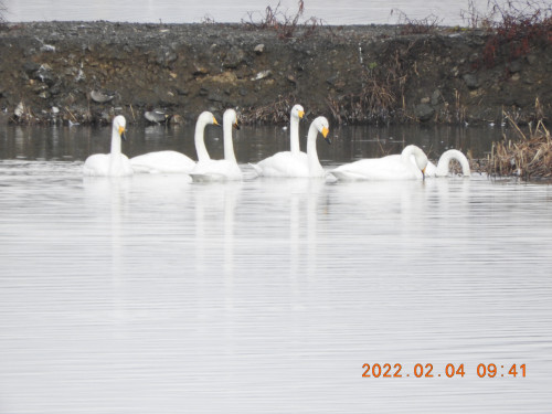 DSCN2153.JPG