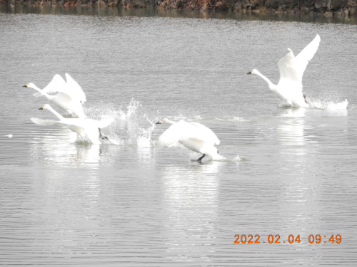 DSCN2156.JPG
