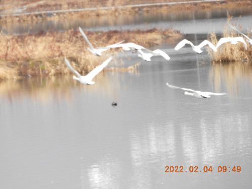 DSCN2165.JPG